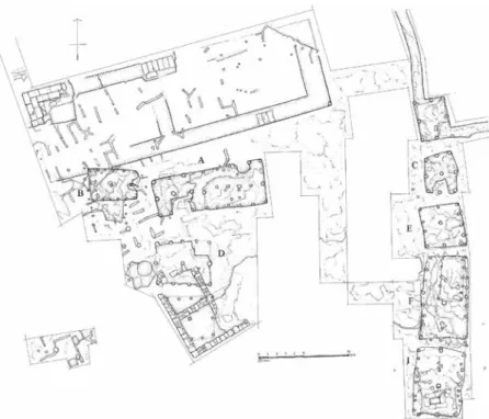 Fig. 3. Planimetria del villaggio della Metapiccola.