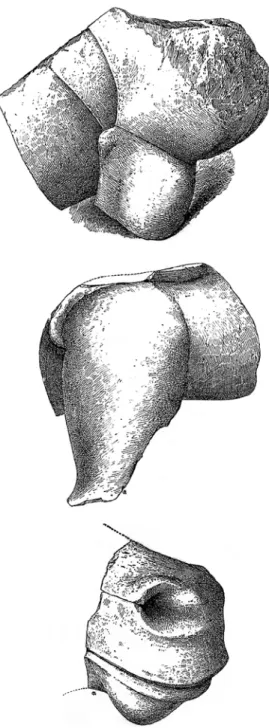 Fig. 11. Ragusa. Pendente. Scultura della t. XV (scavi Orsi).