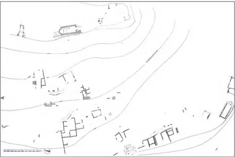 Fig. 11 – Planimetria dell’insediamento di Tolfa Nuova (Dino Gasseau – Studio Groma).