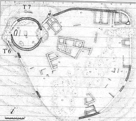 Fig. 2 – Pianta del Tino di Moscona con la fortificazione. Da Mangiavacchi 2002.