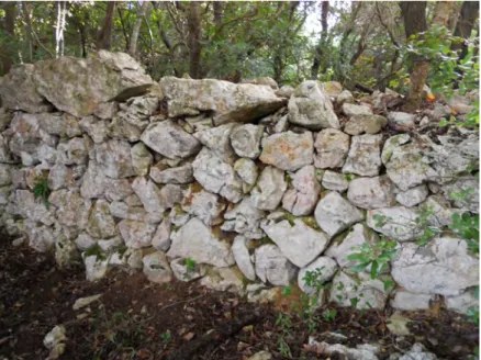 Fig. 8 – La muraglia che circonda il pianoro del Grascetone. Foto dell’autore.