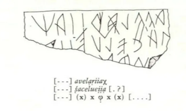Fig. 15 – Acqua Acetosa Laurentina, tegola, da Cordano 1981.