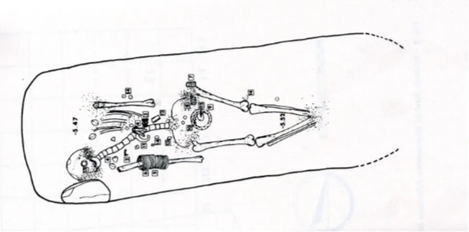 Fig. 8 - Deposizione femminile della necropoli di Termoli, da D I  N IRO  1981, fig. 3