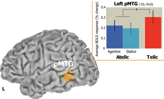 Figure 2 (Romagno et al. 2012).  Left pMTG activation for telic compared to atelic verbs: telic  vs