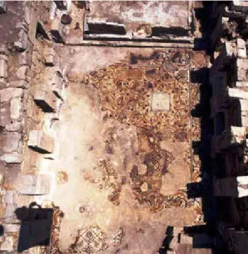 Fig. 3 Nitl (Giordania), Chiesa di San Sergio,  mosaico della navata