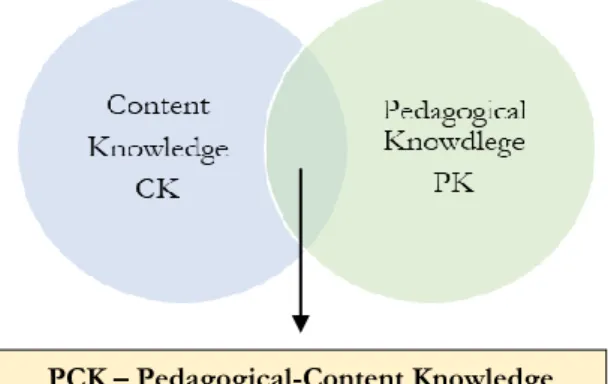 Figura 1. Conoscenza pedagogica dei contenuti disciplinari (Lee Shulman, 1987) 