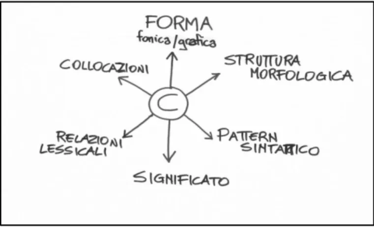 Figura 4. Le dimensioni della competenza lessicale (Ferreri, 2005) 