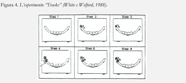 Figura 4. L’esperimento “Tracks” (White e Welford, 1988). 