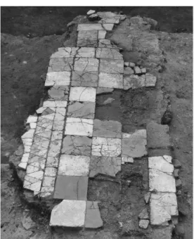 Fig.  5.  Primo  pavimento  in  opus  sectile  (da  I NVERNIZZI -S LAVAZZI  2013, fig