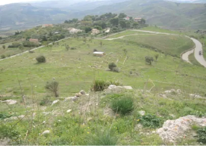 Fig. 2. L’area archeologica di Monte Saraceno   (da http://www.regione.sicilia.it/beniculturali/dirbenicult/ 