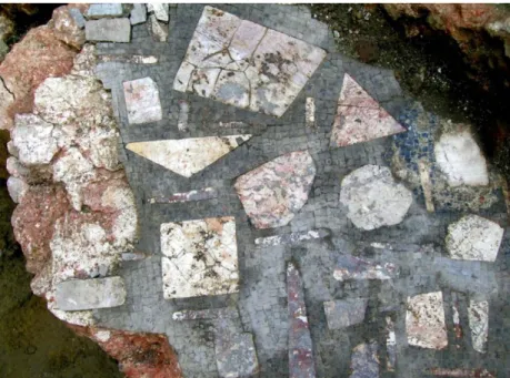 Fig. 6. Tessellato con inserti marmorei policromi, dal Palazzo imperiale  (scavi di via Gorani)