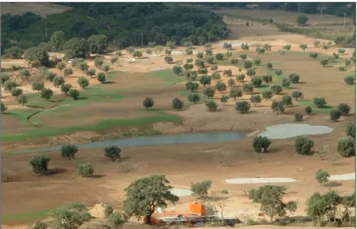 Fig. 5. Argentario, loc. Le Piane. La costruzione di un campo da golf  rimodella il territorio, stravolgendone morfologia, idrografia e impianto  arboreo