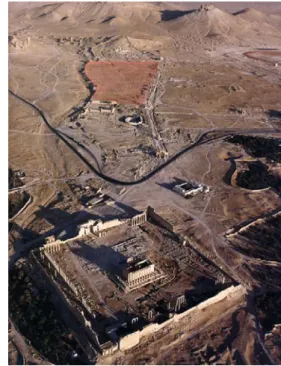 Fig. 1. Il sito di Palmira (Siria). In  evidenza, il Quartiere Sud-Ovest indagato  dalla Missione P AL .M.A.I.S