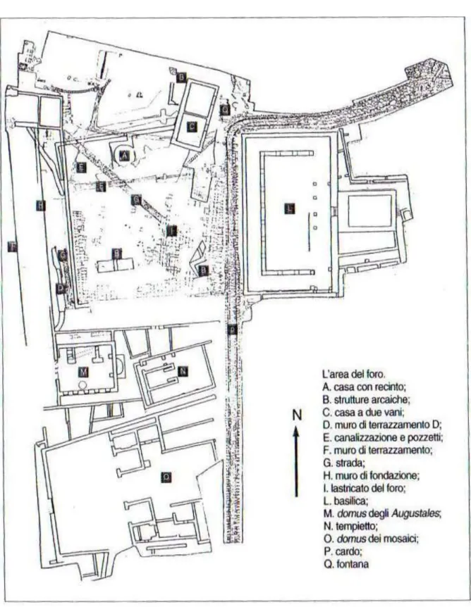 Fig. 1. Pianta generale dell’area del foro (da N ICOSIA  - P OGGESI  2009). 