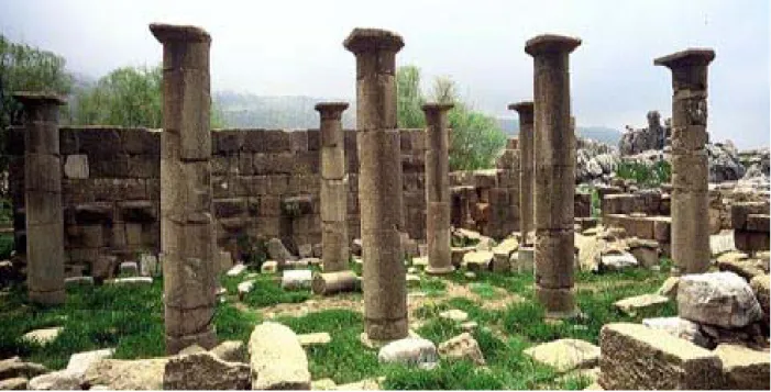 Fig. 4. Resti del santuario a Qalaat Faqra in Libano. 