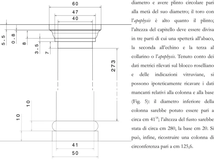Fig. 5. Proposta di ricostruzione della colonna. 