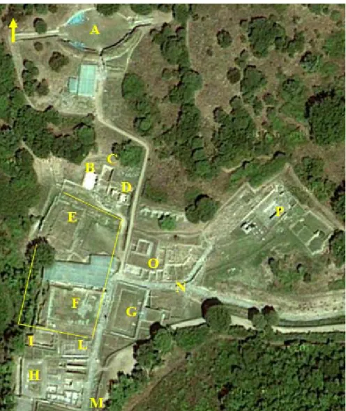 Fig. 6. Vista satellitare del sito di Roselle. A: anfiteatro; B: basilica dei Bassi; C: edificio pubblico (curia?); D: 