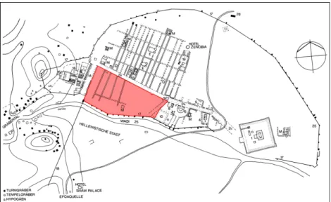 Fig. 1. La ville de Palmyre avec le quartier sud-ouest en évidence  (d’après  AL  A S ’ AD  - S CHMIDT -C OLINET  2005, p