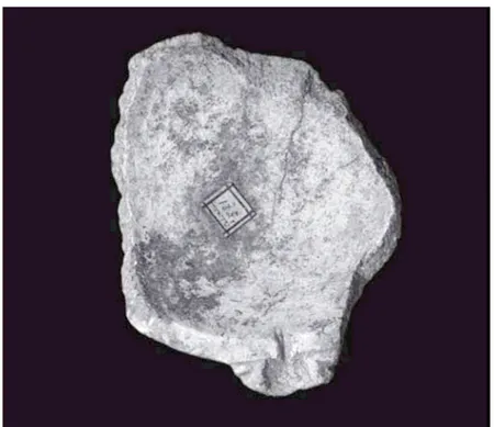 Fig. 9. Bacile/mortaio n. 5 (foto V. Albini, Università degli Studi di  Milano, Dipartimento di Scienze dell’Antichità, archivio)