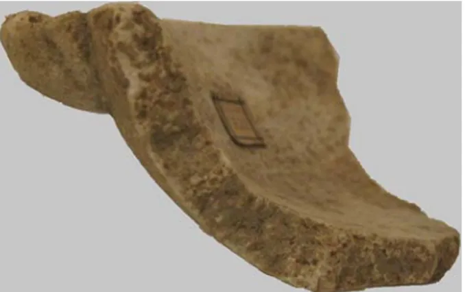 Fig. 5. Bacile/mortaio n. 3 (foto V. Albini,  Università degli Studi di Milano,  Dipartimento di Scienze dell’Antichità,  archivio)