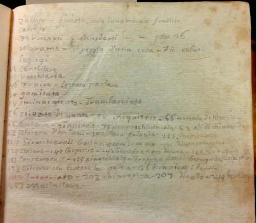 Fig. 3. Liste lessicali nella cdg. posteriore dell’esemplare alfieriano di A. Firenzuola, Opere, vol