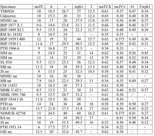 Tab. 1 - Wing metacarpal, humerus, radius, wing phalanx 1 and femur lengths and relative ratios in a sample of  Rhamphorhynchus muensteri (sen- (sen-su Bennett 1995) specimens belonging to the small size-class (skull ranging 31-65 mm in length; R