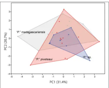 Figure S1 - Principal component analysis (PCA) performed on the  entire dataset of  standardized morphometric and meristic  parameters.
