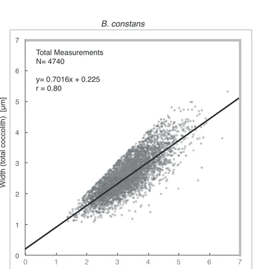 Fig. S1 - Scatter plots of  B. constans  length and width with  Pear-son correlation coefficient (r)  and the number of   measure-ments (N).