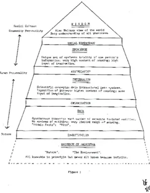Figura 4 – Pyramid of wisdom (Foskett, 1987; cfr. nota 38)