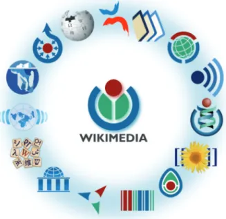 Figura 1 – Progetti Wikimedia Foundation
