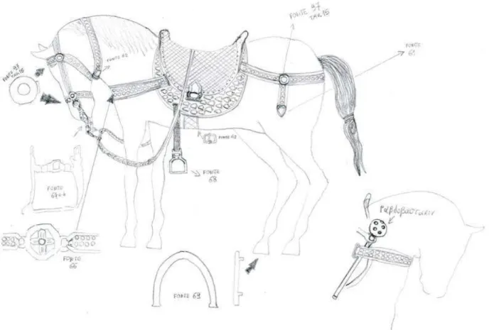 Figura  5:    Spaccato  ricostruttivo  dell’equipaggiamento  del  cavallo; disegno dell’autore;    