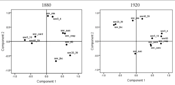 Fig. 9. Proiezione delle variabili sul piano generato dalle due principali componenti fattoriali, Svizzera, 1880 e 1920