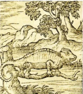 Fig. 8.  Andrea Alciati: Emblemata, 1577  (pag. 222) “In adulatores”