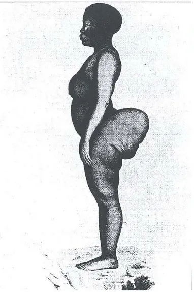 Fig. 2. La Vénus hottentote de Georges Cuvier: «Femme de race Bòchi- Bòchi-manne de profil» Historie naturelle des mammiferes avec des figures  origi-nales colorées, dessinées d’après des animaux vivans