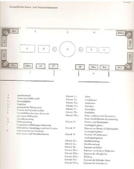 Fig. 7. Pianta della Naturalienkammer e delle sue sezioni.