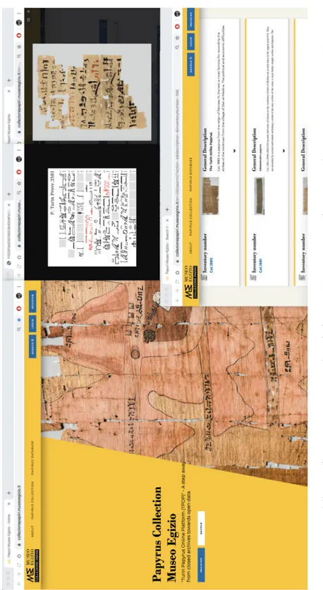 Fig. 4. Estratto dalla piattaforma Turin Papyrus Online Platform (TPOP) contenente informazioni sul papiro P