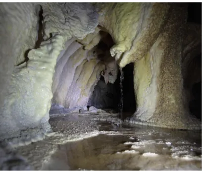 Fig. 4. The so called “Grotta della Lupa” (Roccamorice). The cave is a karst formation of  considerable geological and paleontological value (photo by Matteo D’Alessandro)