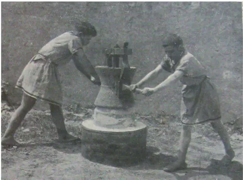 Fig. 6. Giovinetti abbigliati da antichi romani azionano una macina da grano (Maiuri 1932,  p