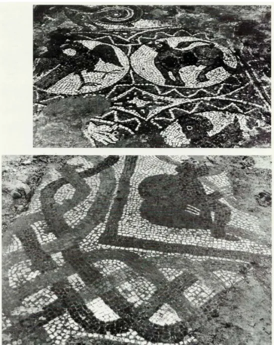 Fig. 5. Banzi (PZ): abbazia di S. Maria. Particolari del mosaico pavimentale (da Salvatore  1996)