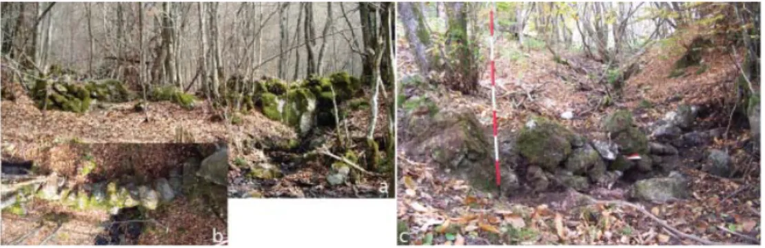 Fig. 3. Muro di fi ltraggio presso la Moglia delle Lungaie e la Moglia del Chirlo (da Stagno  2009, pp