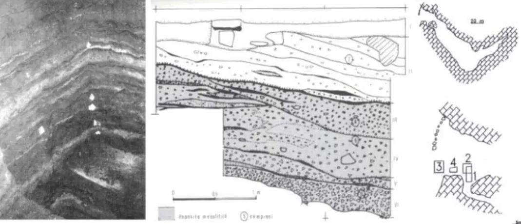 Fig. 8. I livelli a fumier dei depositi della grotte Cotariova (foto) e Azzurra, nel Carso triestino