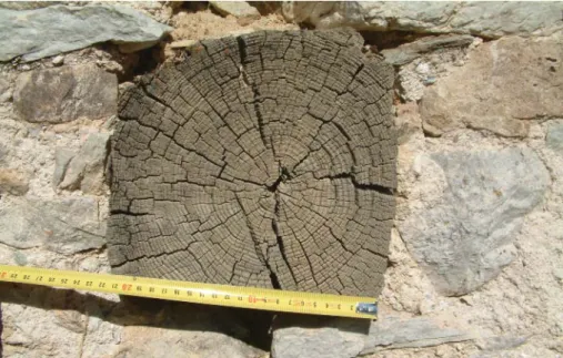 Fig. 1. Frabosa Soprana, località Casera Vecchia, trave di larice datato al 1632  (dendrocronologia)