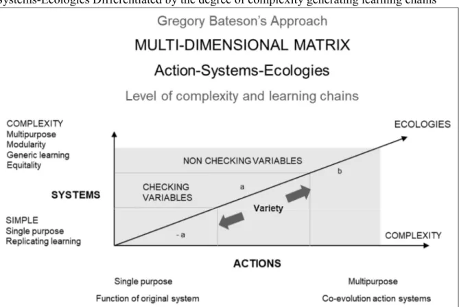 Figure 4 – The space of the possible (or emergent) like a Multidimensional Matrix Action- Action-Systems-Ecologies Differentiated by the degree of complexity generating learning chains 