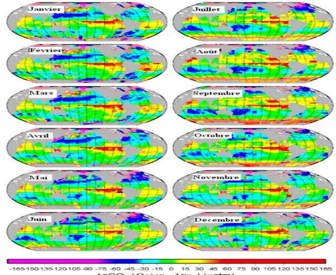 Figure 11 : Différences des valeurs moyennes mensuelles climatologiques de la pCO 2  océan – atmosphère  dans  l'océan  global  ayant  l’année  2000  pour  référence  (sans  les  conditions  El  Niño) (Takahashi et al., 2009)