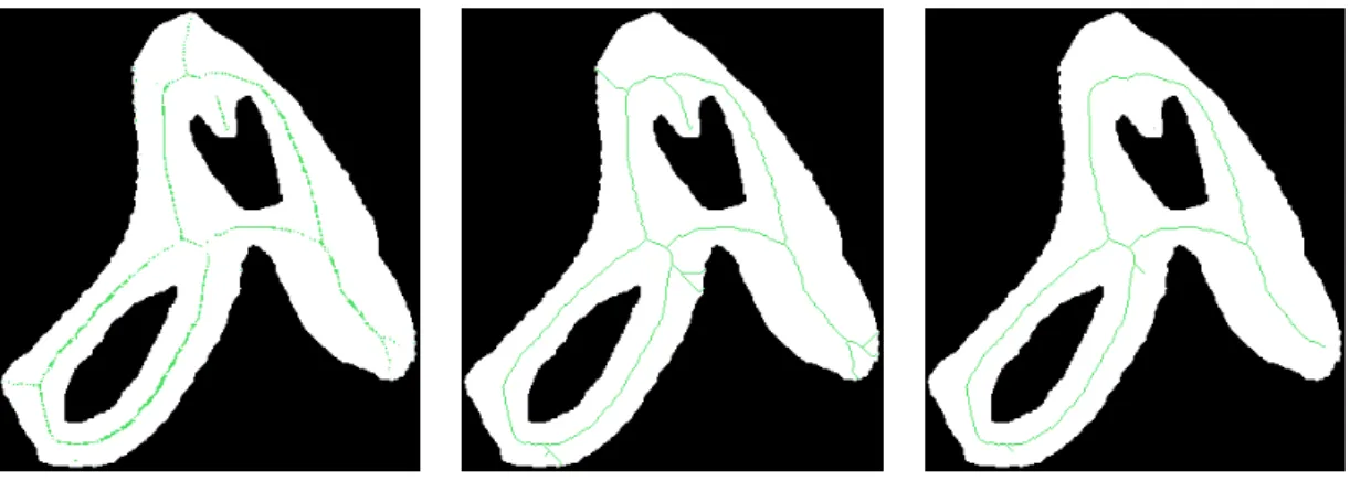 Figure 4.8: Les squelettes épousent les formes des contours au centre de la forme.