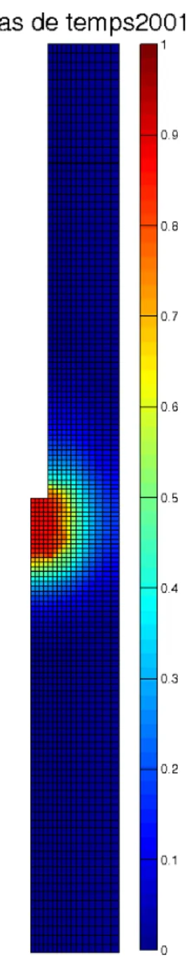 Fig. 2.10 – Visualisation de la concentration obtenue avec Matlab ` a l’instant final