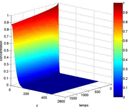 Fig. 2.13 – Profil de concentration sur la ligne verticale γ 3 d’´equation x = 0