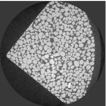 Figure 72 – Exemple d’une coupe 2D extraite d’une image 3D obtenue à l’ESRF.