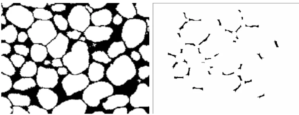 Figure 93 – Exemple de surfaces de contact qui ont été connectées par l’algorithme de recons- recons-truction