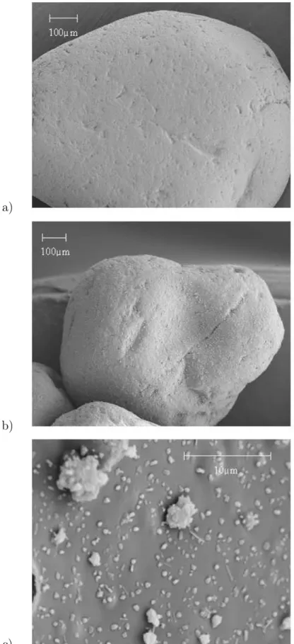 Figure 4 – Surface d’un grain de sable (a) non enrobé et (b) enrobé de silicate de soude